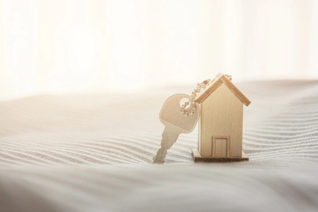 A House Keychain in Wood Material